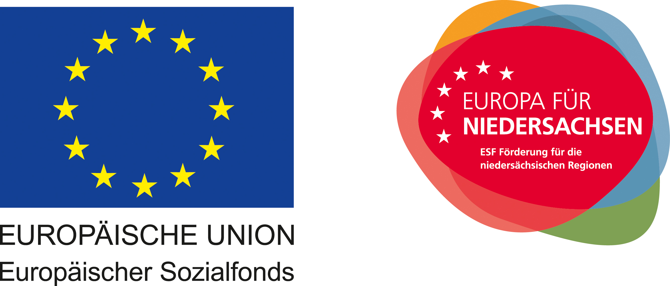 eu efs logo